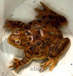 English Porcelain Large 5 Tall Frog Mug 19th C 1846 Gilt Highlights