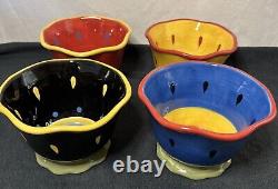 Susan Winget Garden Brights Ceramic 12 Piece Hostess Set Certified International