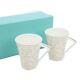 TIFFANY & CO. Notes Mug Pair Cup Tableware TGIS